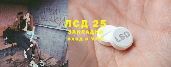гашик Нефтекумск