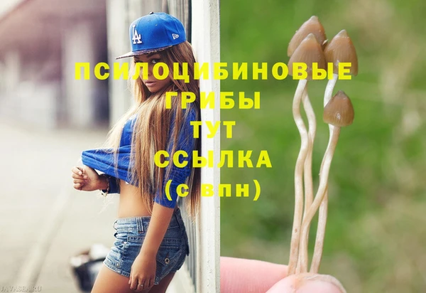 гашик Нефтекумск