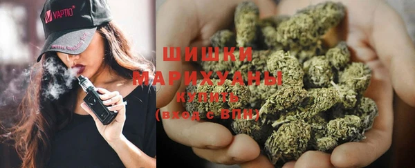 гашик Нефтекумск